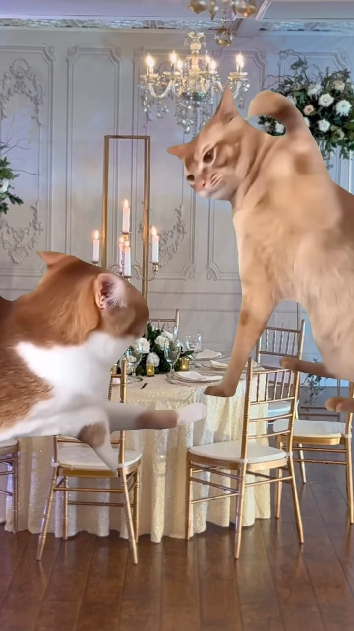 Post 5 by The Wedding Producer on Instagram (video)