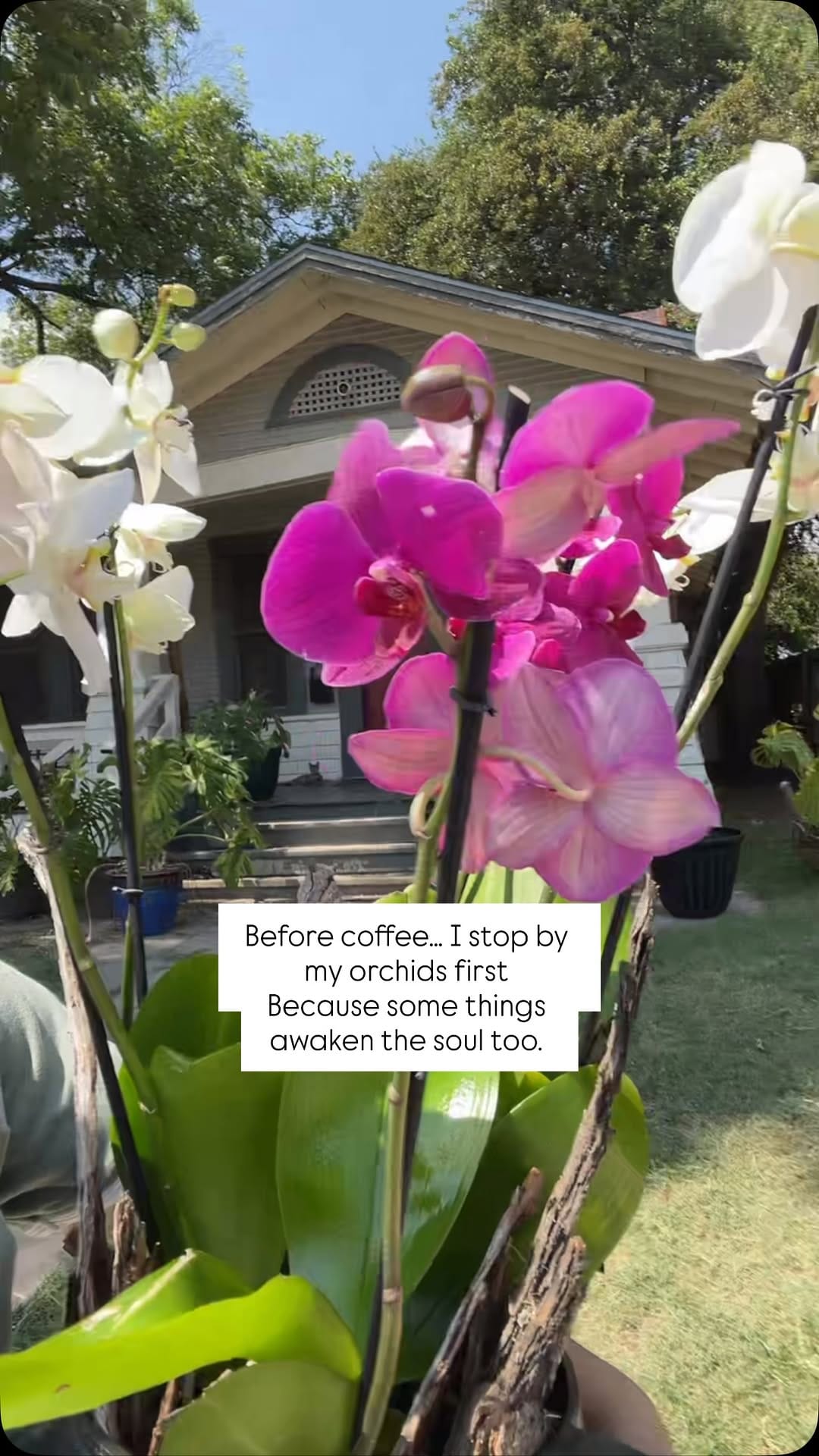 Post 3 by The Wedding Producer on Instagram (video)