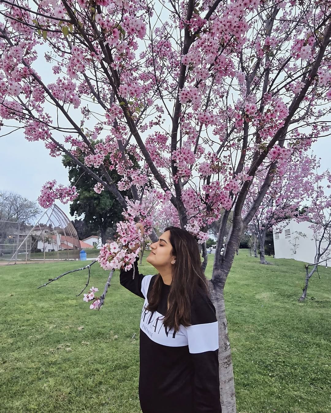 Post 9 by Shilpa Mehta on Instagram (carousel)