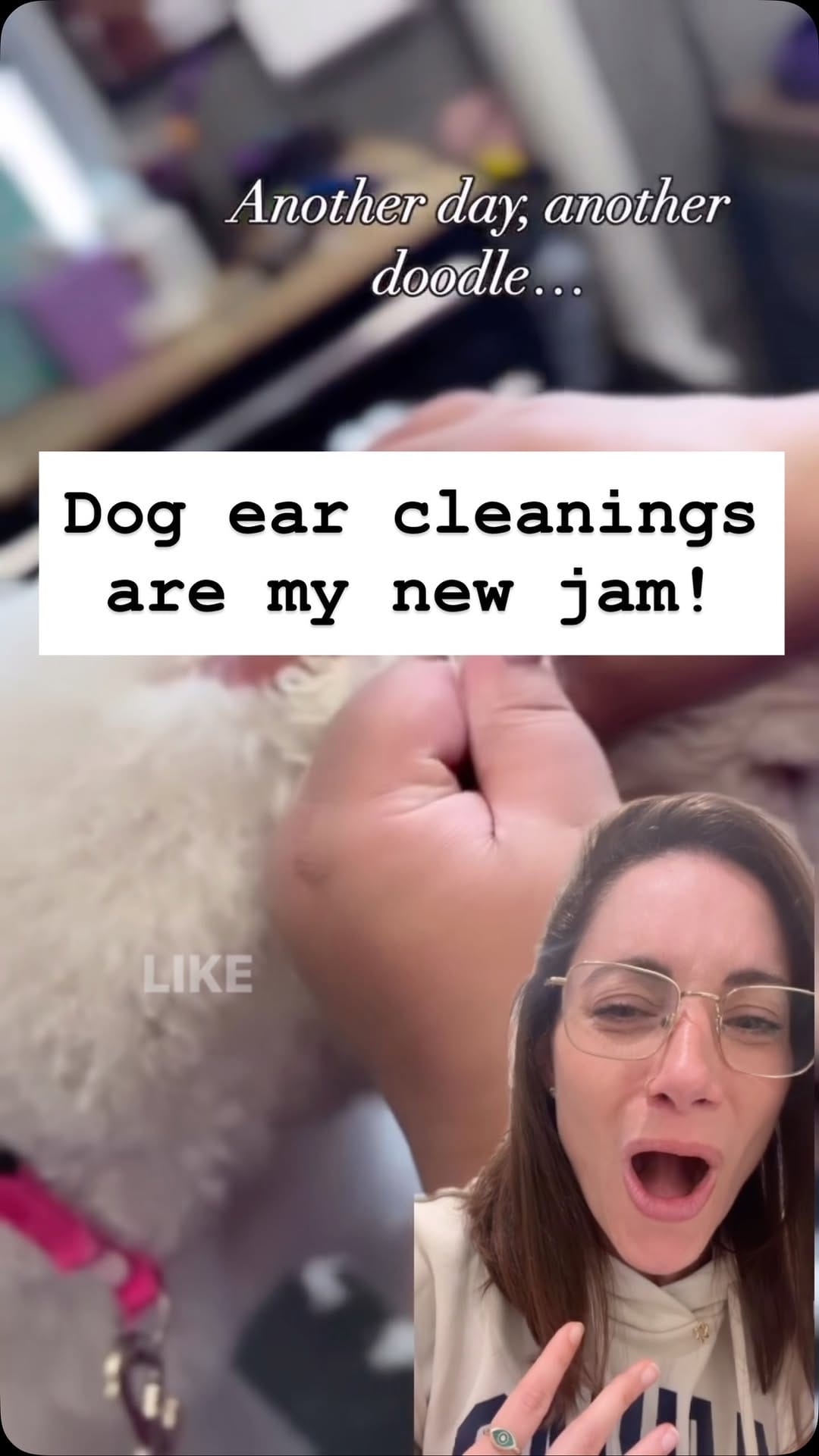 Post 8 by Dr. Emily Taylor (aka Dr. Earwax) on Instagram (video)