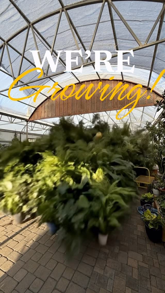 Post 10 by Desert Horizon Nursery on Instagram (video)