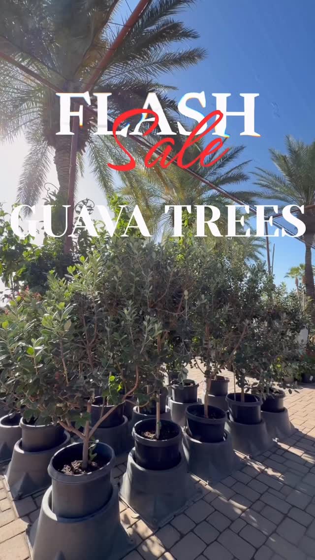 Post 7 by Desert Horizon Nursery on Instagram (video)