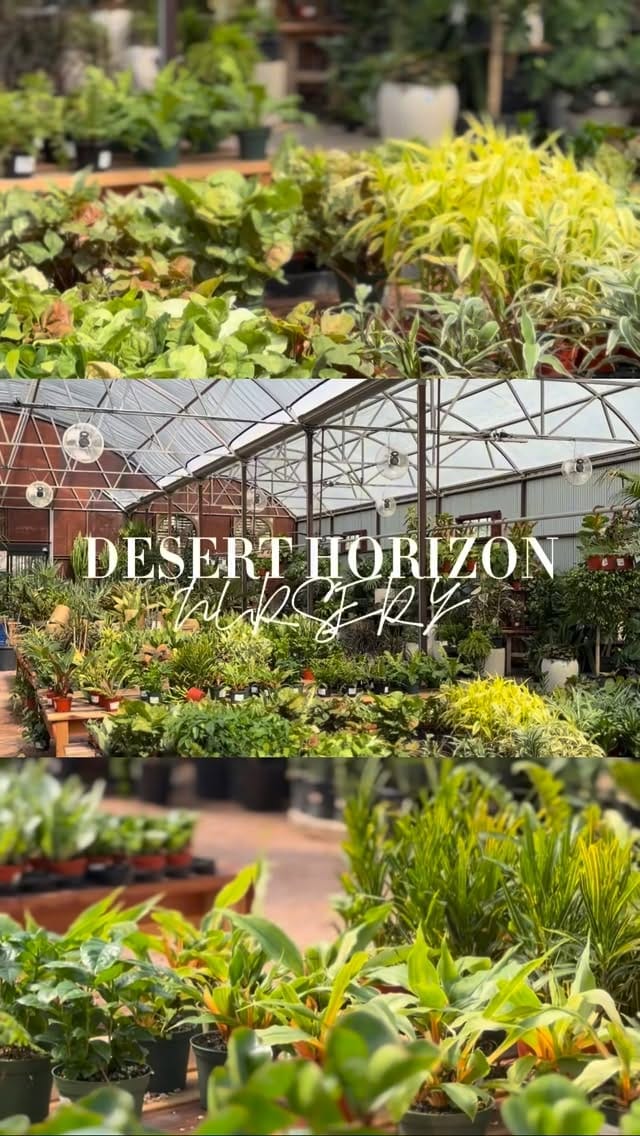 Post 3 by Desert Horizon Nursery on Instagram (video)