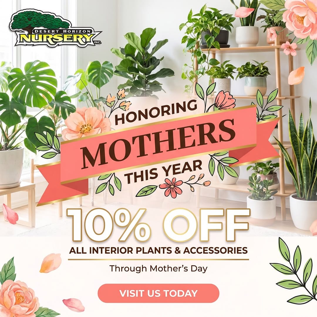 Post 4 by Desert Horizon Nursery on Instagram (carousel)