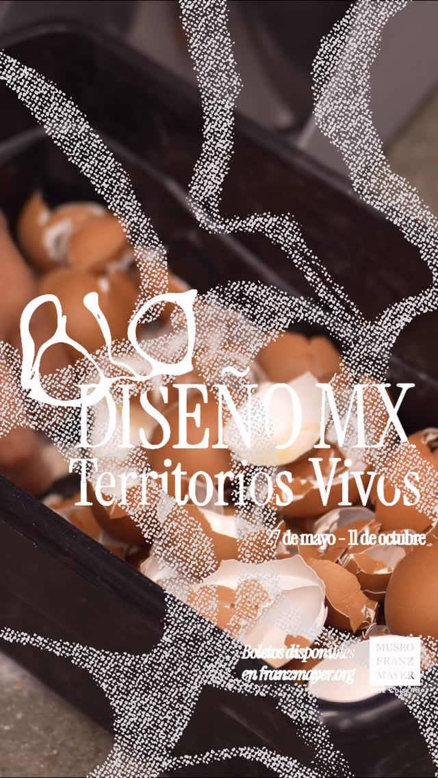 Post 2 by Dinorah Martinez Schulte on Instagram (video)