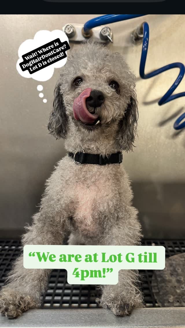 Post 9 by Dog Hair Don't Care™ on Instagram (video)