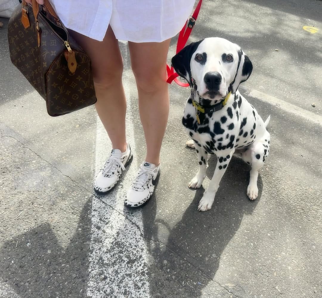 Post 6 by Dog Hair Don't Care™ on Instagram (image)
