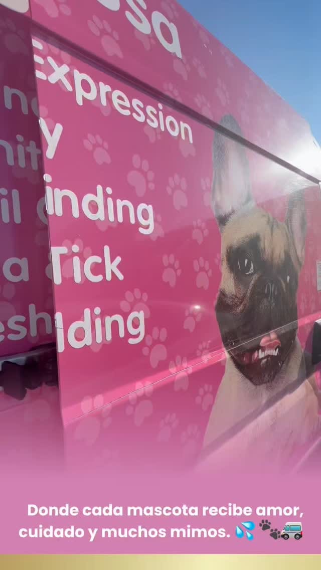 Post 3 by Doggy Haus Usa | Peluquería para Mascotas a Domicilio | Grooming on Instagram (video)