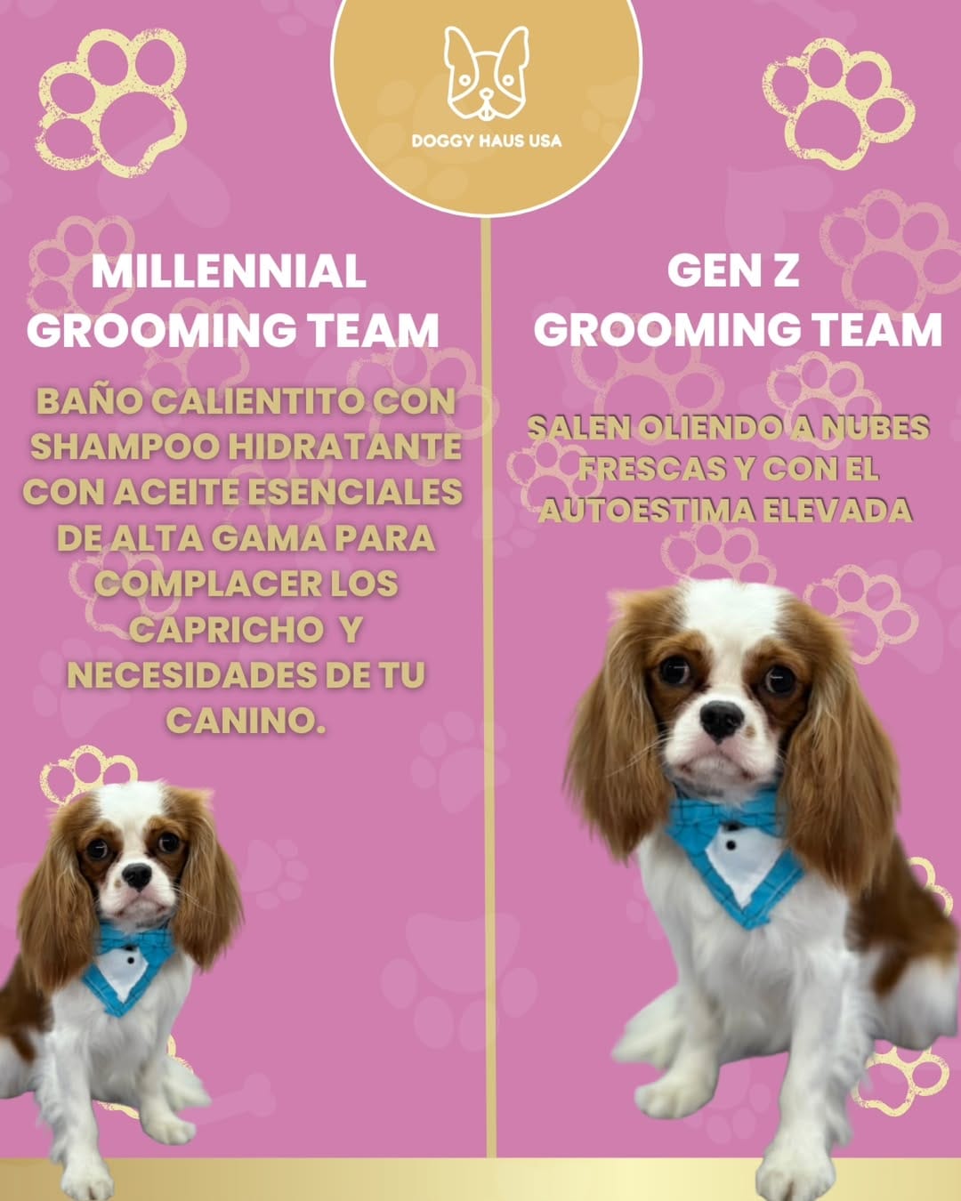 Post 4 by Doggy Haus Usa | Peluquería para Mascotas a Domicilio | Grooming on Instagram (image)