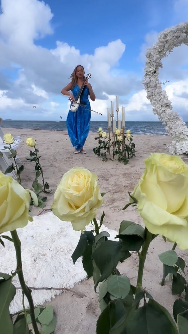 Post 4 by Surprise Picnic 305 LLC on Instagram (video)