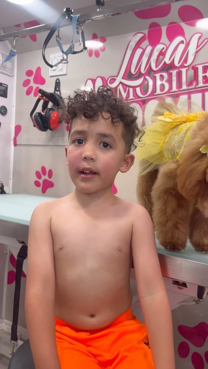 Post 9 by Lucas Mobile Grooming 🐶 on Instagram (video)