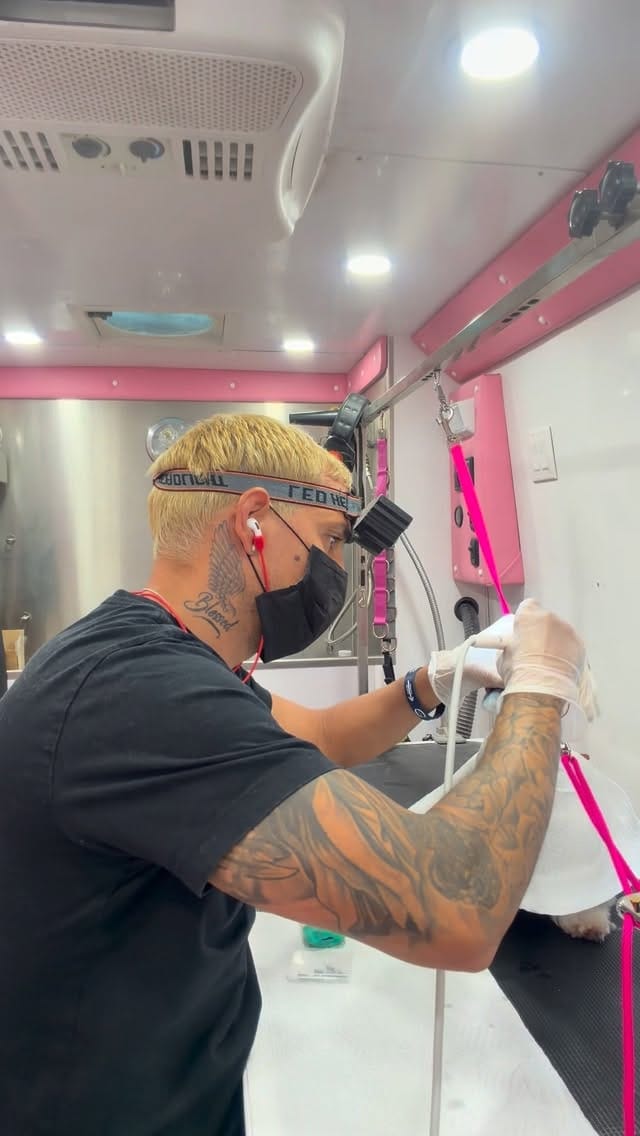 Post 2 by Lucas Mobile Grooming 🐶 on Instagram (video)