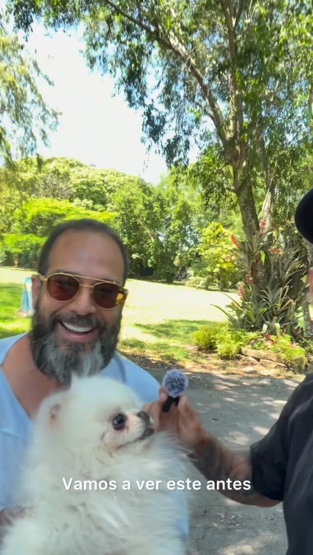Post 4 by Lucas Mobile Grooming 🐶 on Instagram (video)
