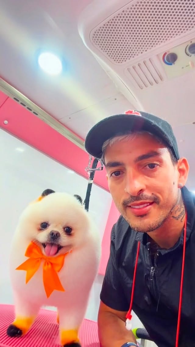 Post 3 by Lucas Mobile Grooming 🐶 on Instagram (video)