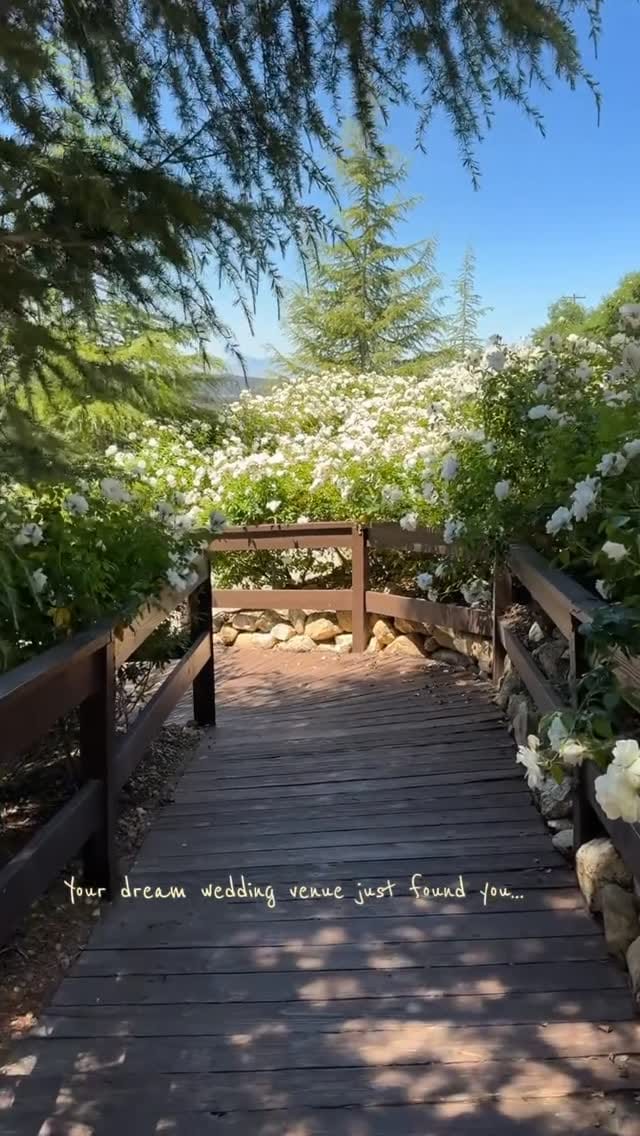 Post 3 by Serendipity Garden Weddings on Instagram (video)