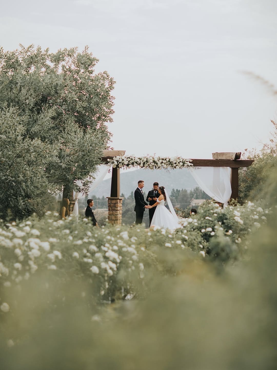 Post 4 by Serendipity Garden Weddings on Instagram (carousel)