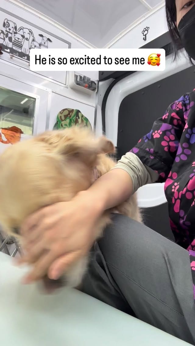 Post 1 by Nara C on Instagram (video)