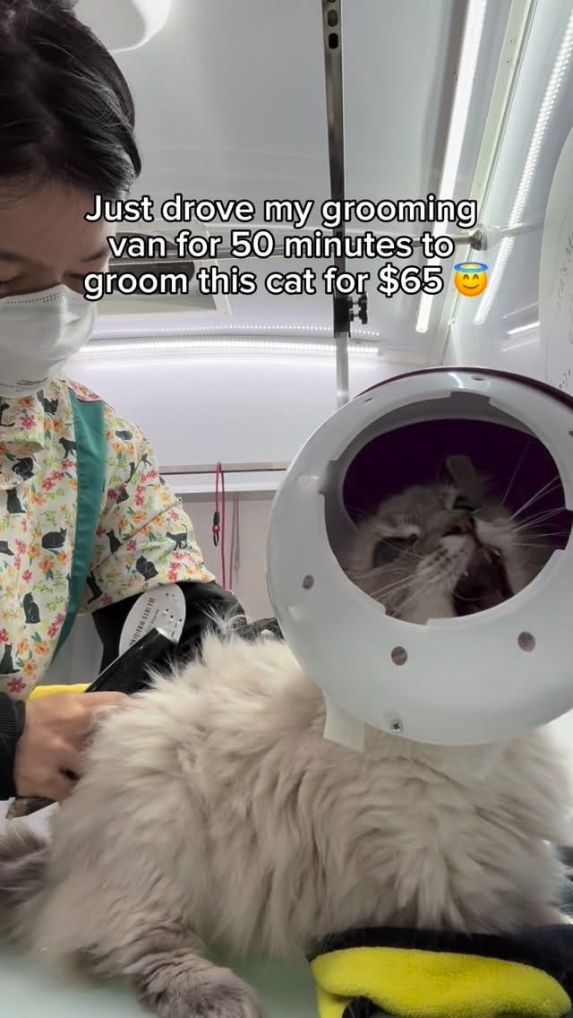 Post 5 by Nara C on Instagram (video)