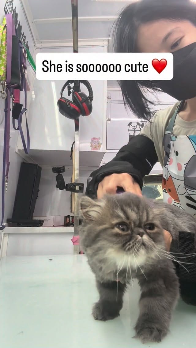 Post 4 by Nara C on Instagram (video)