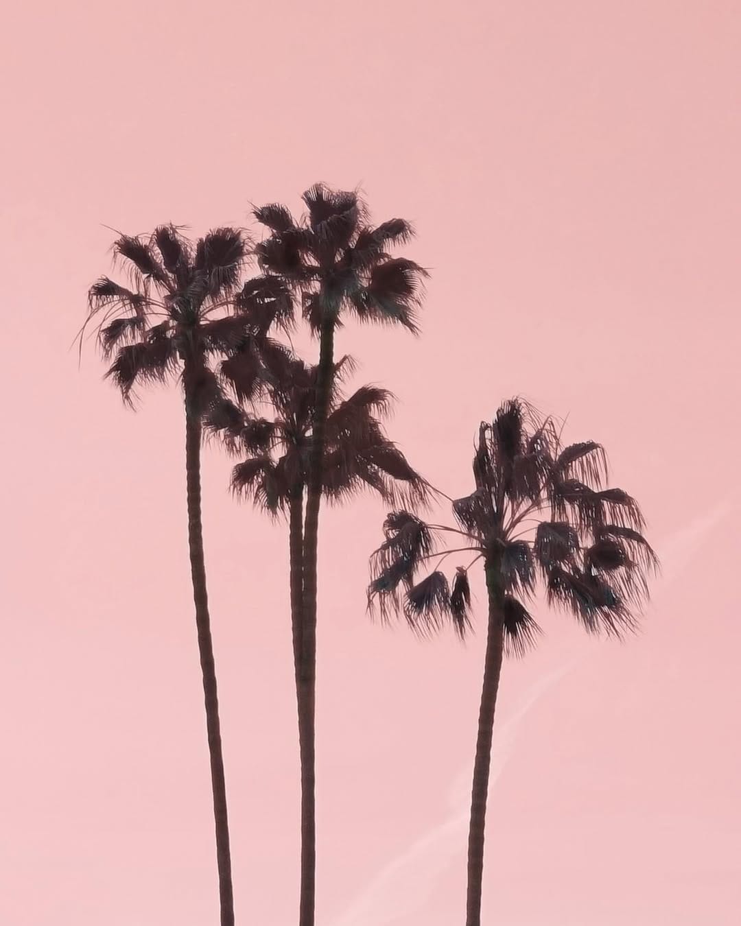 Post 4 by Kyla Herbes on Instagram (image)