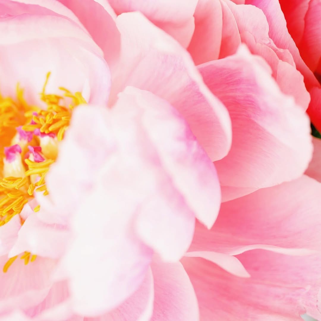 Post 6 by Kyla Herbes on Instagram (image)