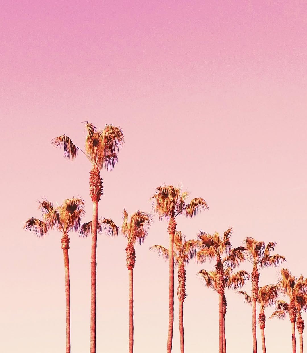 Post 9 by Kyla Herbes on Instagram (image)