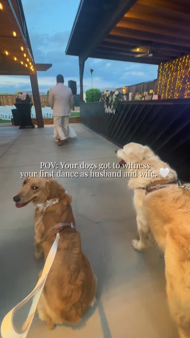 Post 9 by The Venue At Chilleens- Arizonas All Inclusive Wedding Venue on Instagram (video)