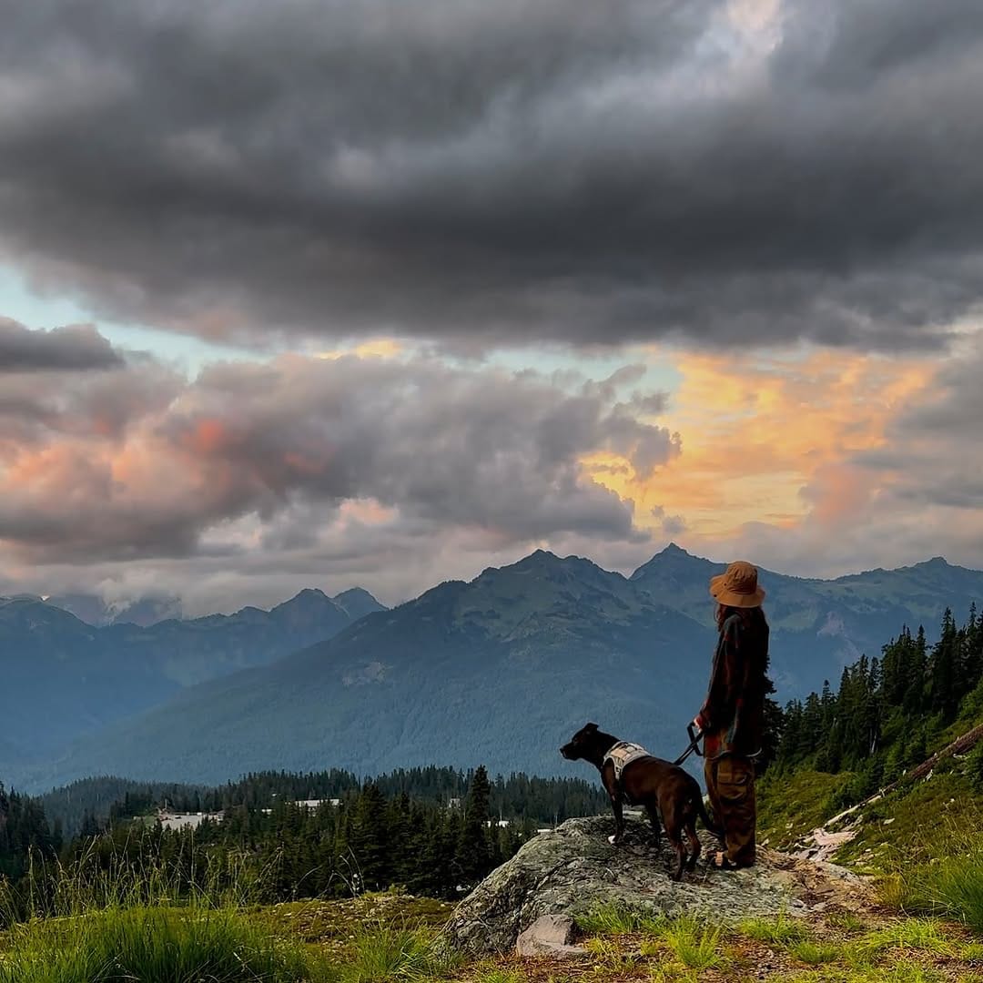 Post 6 by Ciara Blanchette on Instagram (image)