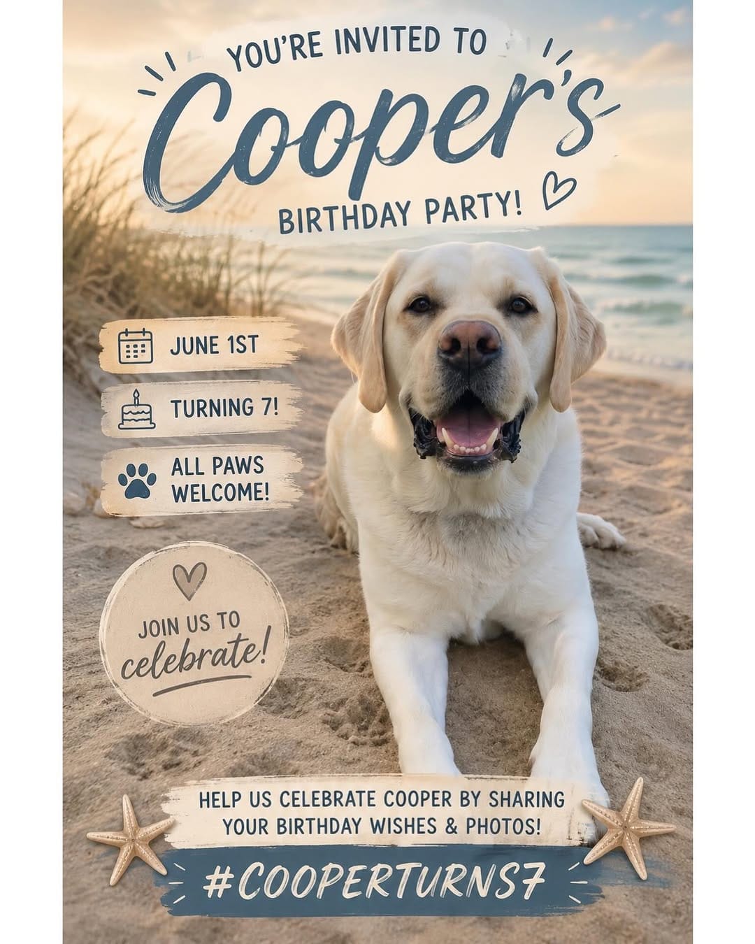 Post 1 by Cooper The Yellow Lab on Instagram (image)