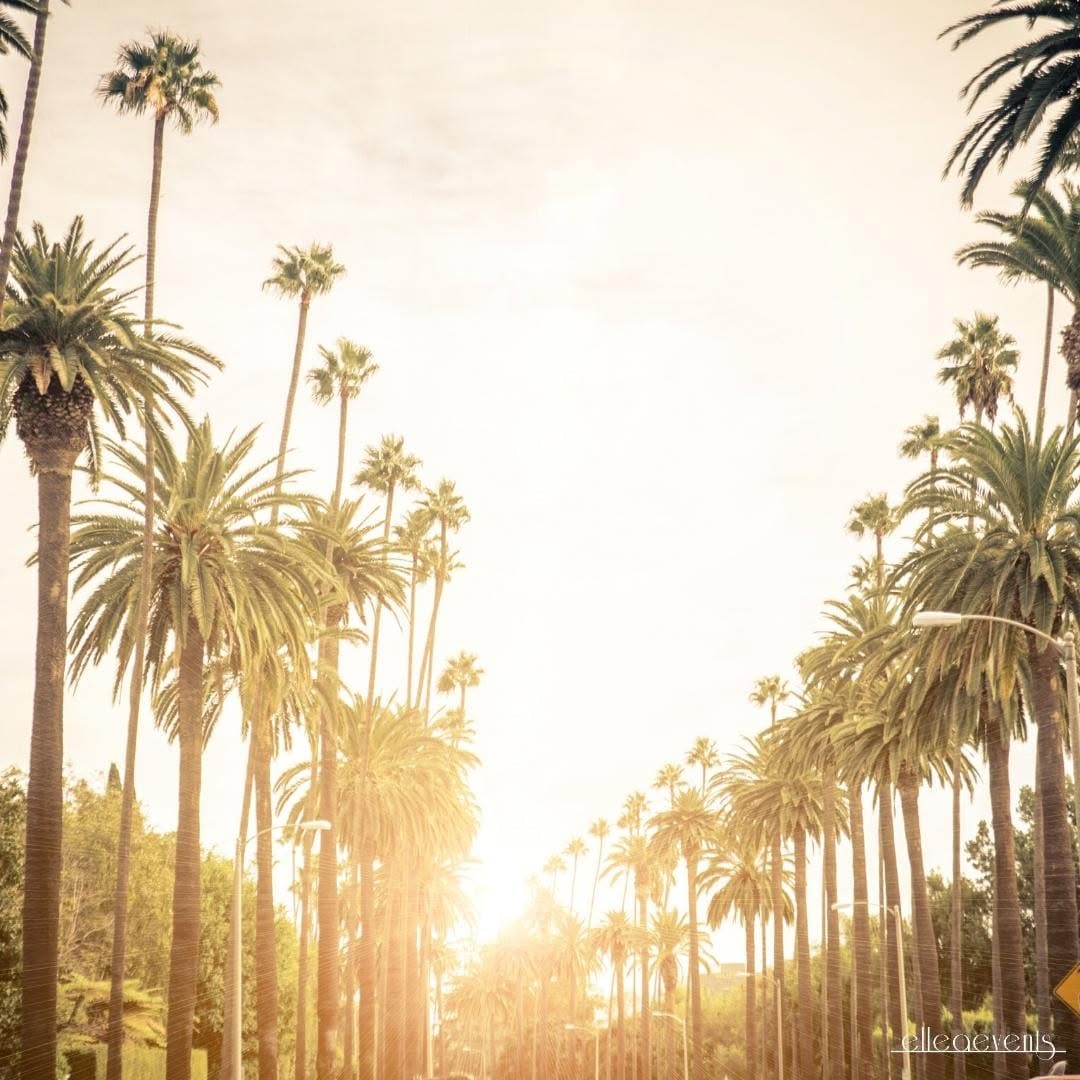 Post 9 by elle A events on Instagram (image)