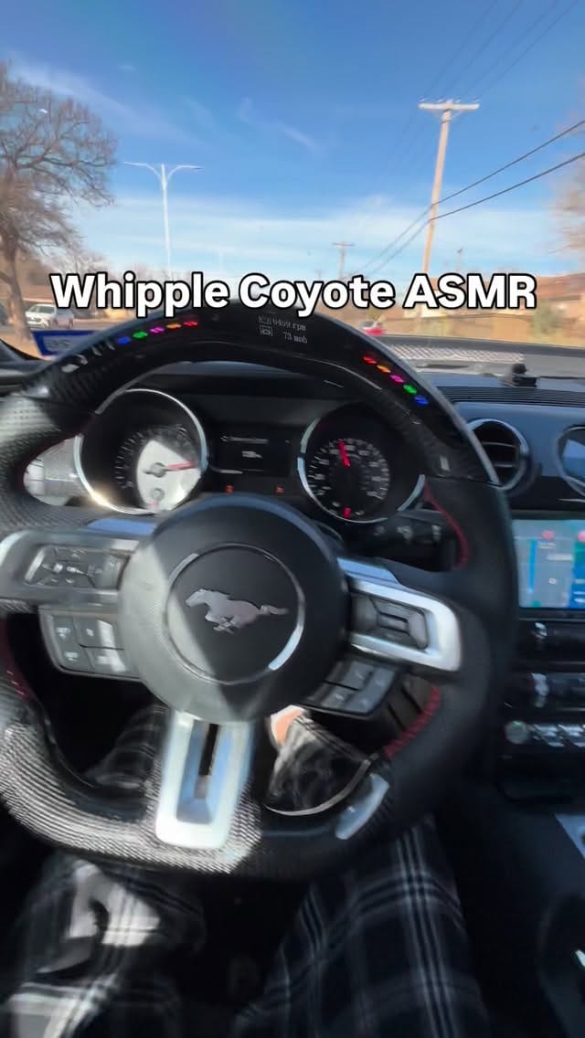 Post 8 by Dylan Jennings on Instagram (video)