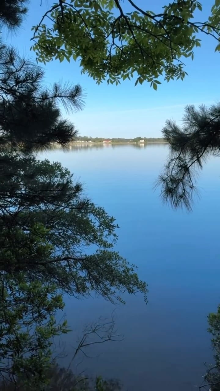 Post 4 by Laís Ricci on Instagram (video)