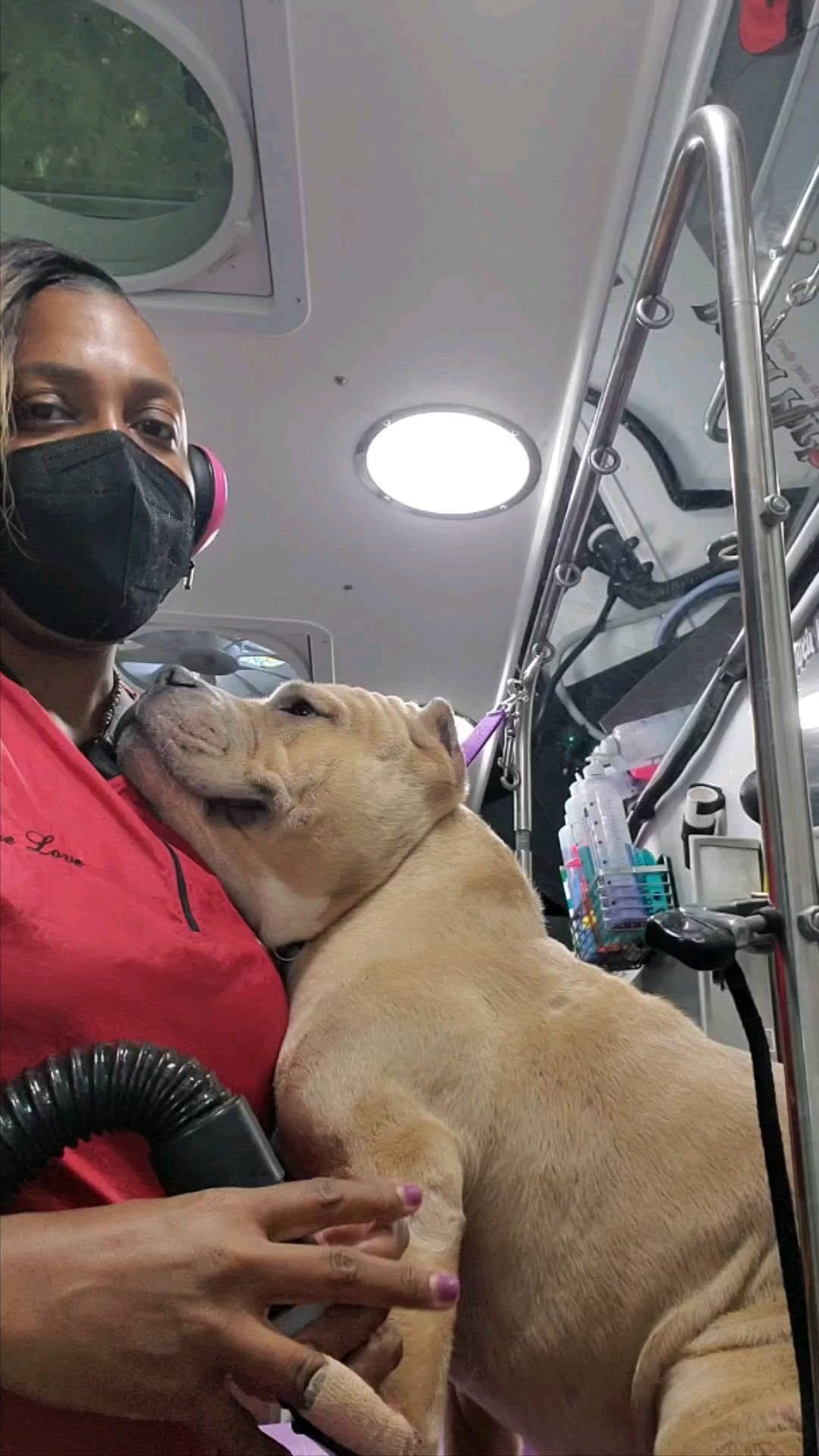 Post 10 by Pooch Parlor Grooming Salon on Instagram (video)