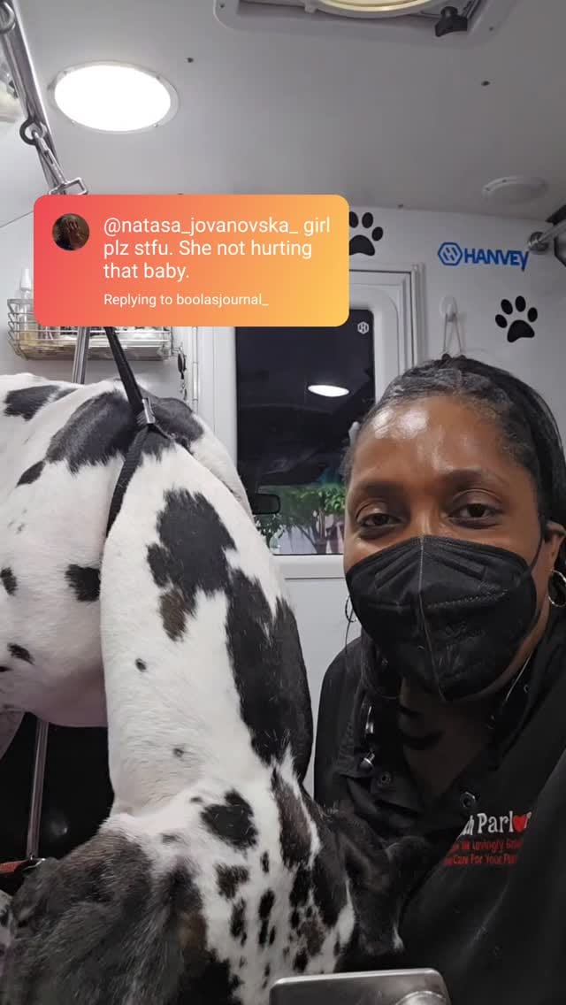 Post 6 by Pooch Parlor Grooming Salon on Instagram (video)