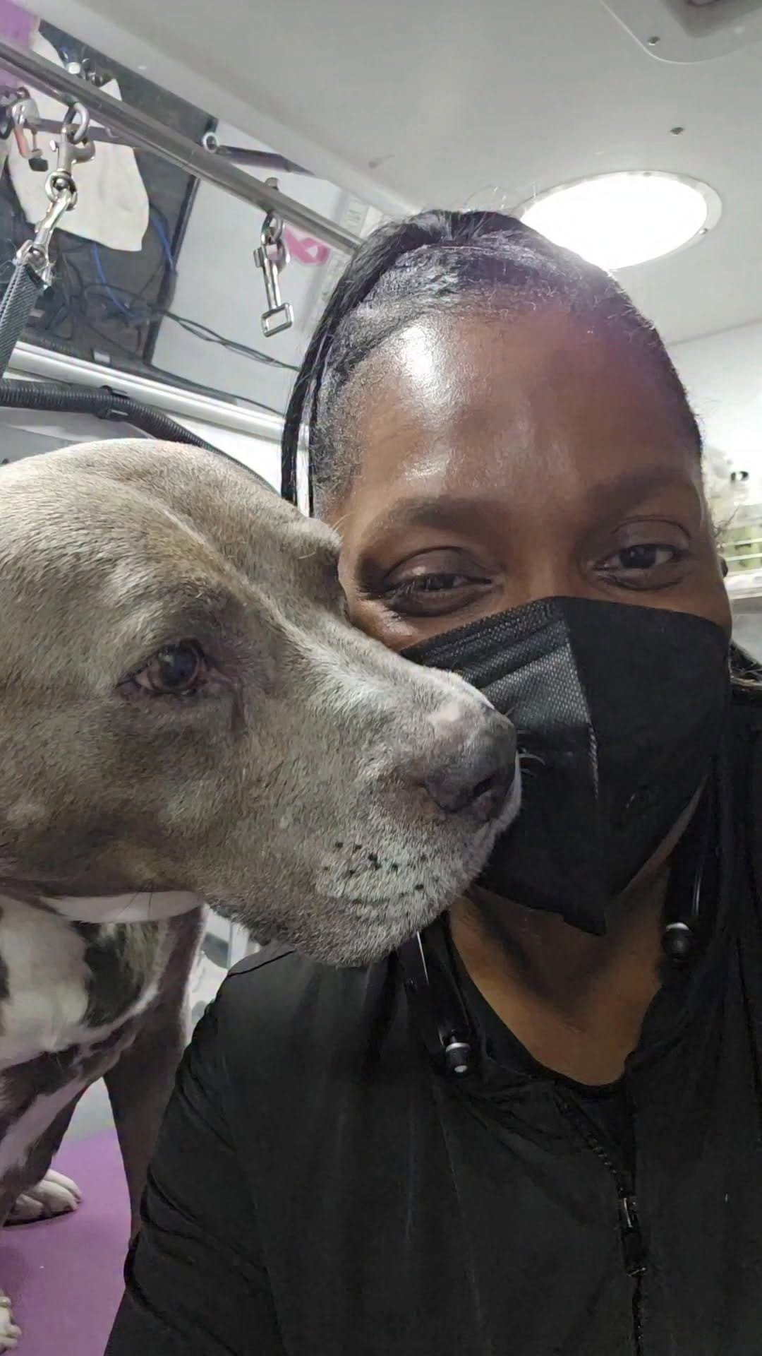Post 2 by Pooch Parlor Grooming Salon on Instagram (video)