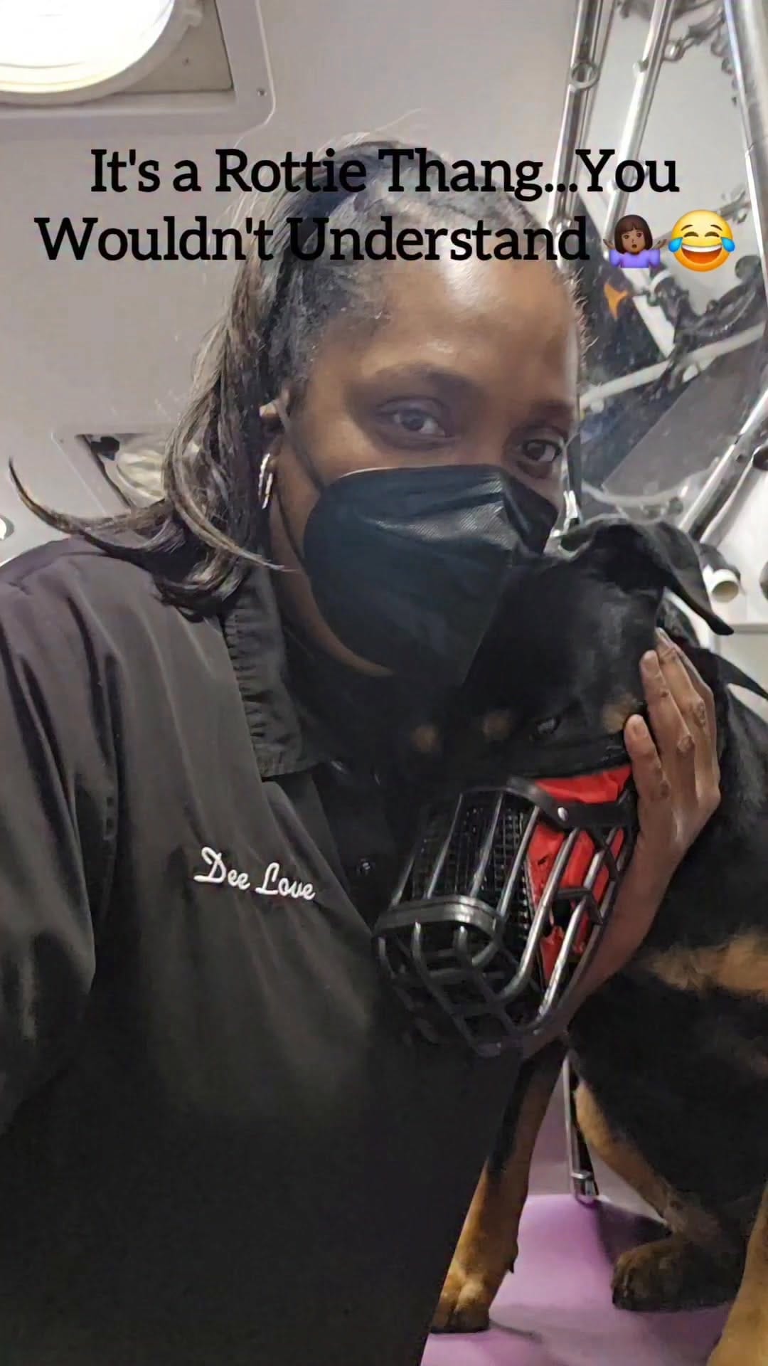 Post 7 by Pooch Parlor Grooming Salon on Instagram (video)