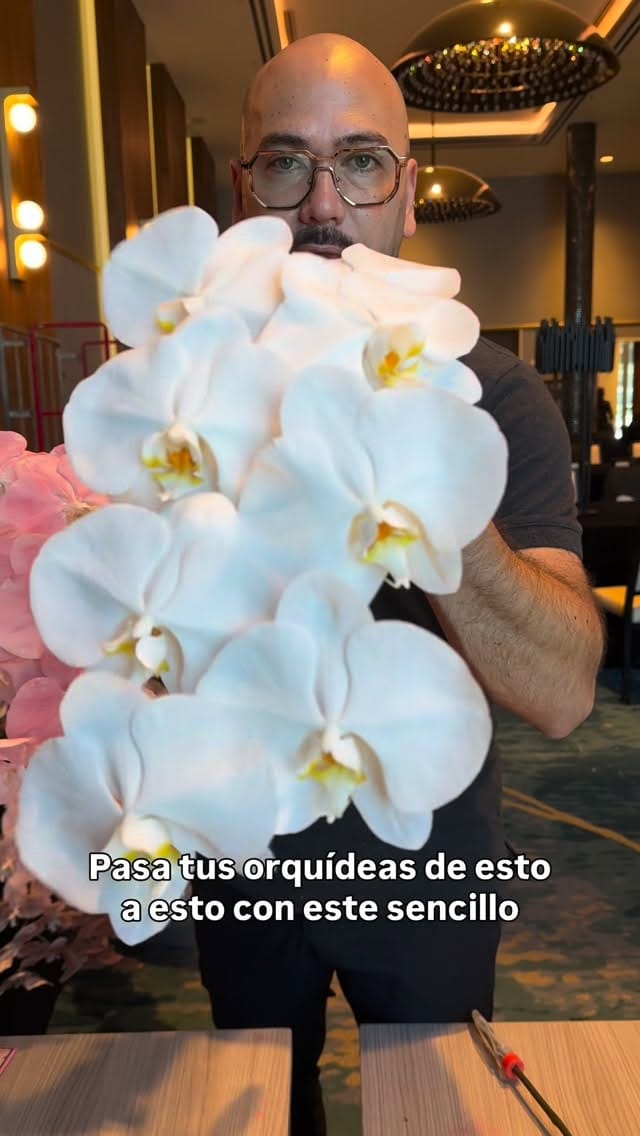 Post 2 by Evolution The Event Decor Company on Instagram (video)