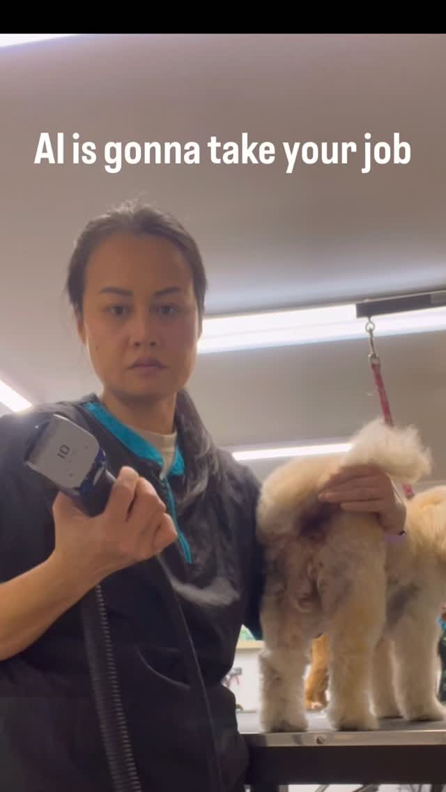 Post 8 by Alice Foy on Instagram (video)