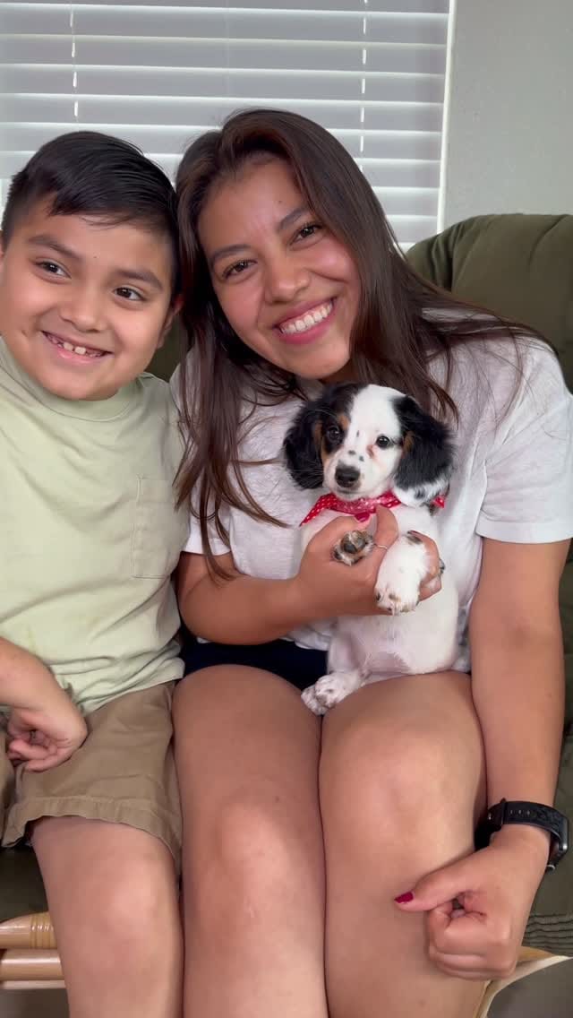 Post 1 by The Puppy Ranch | Pet Pros LLC on Instagram (video)