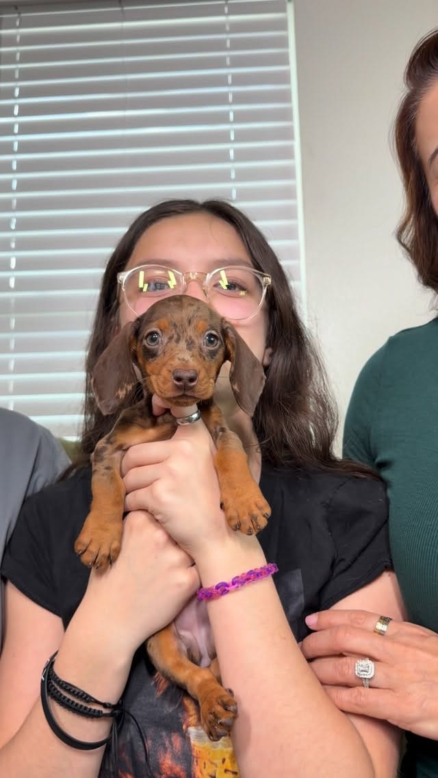 Post 5 by The Puppy Ranch | Pet Pros LLC on Instagram (video)