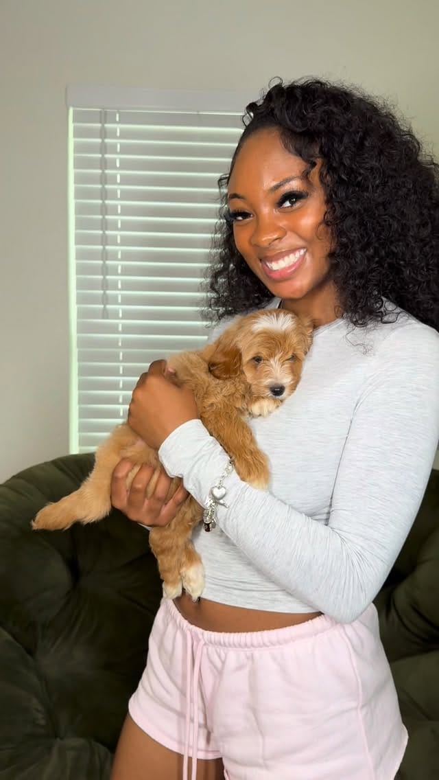 Post 3 by The Puppy Ranch | Pet Pros LLC on Instagram (video)