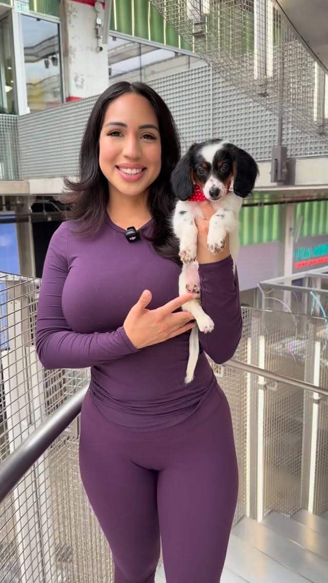Post 4 by The Puppy Ranch | Pet Pros LLC on Instagram (video)