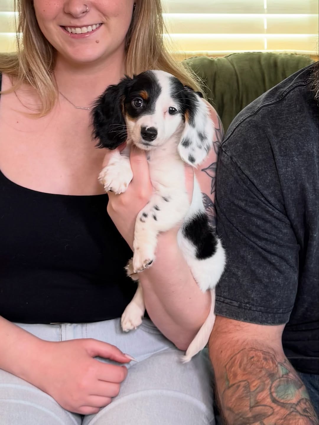 Post 2 by The Puppy Ranch | Pet Pros LLC on Instagram (carousel)