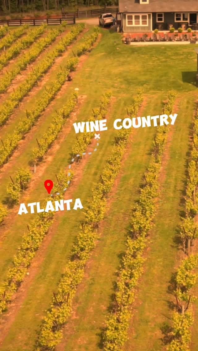 Post 7 by Ride The Vibe ATL | Wine & Music Experiences on Instagram (video)