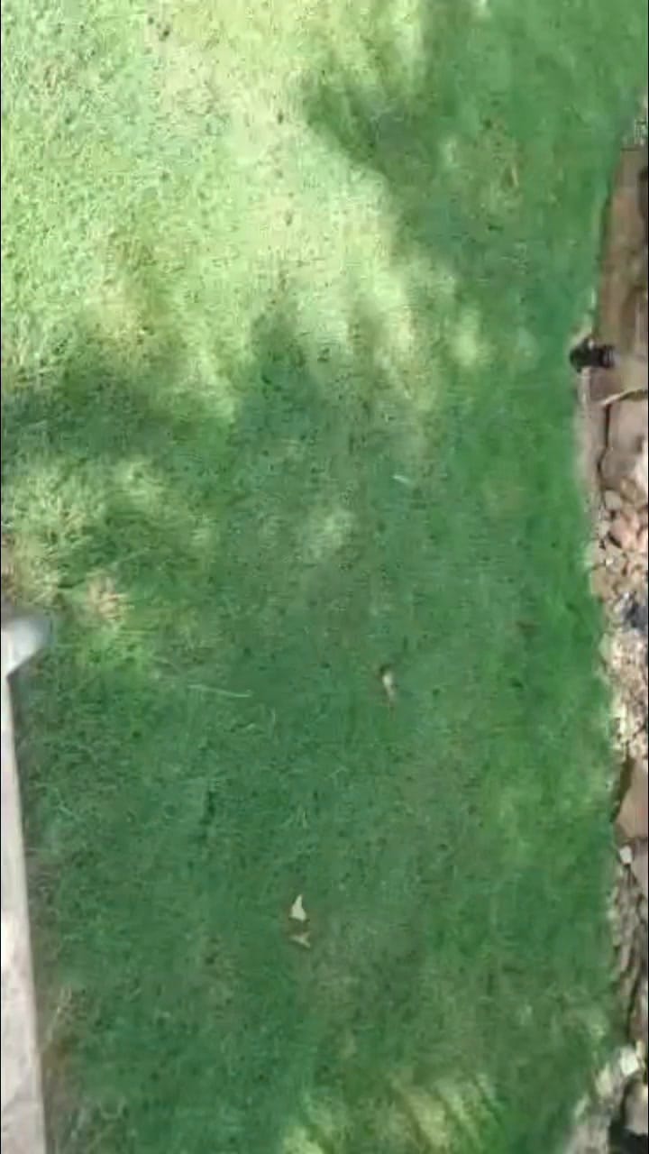 Post 1 by OG Breezy B on Instagram (video)