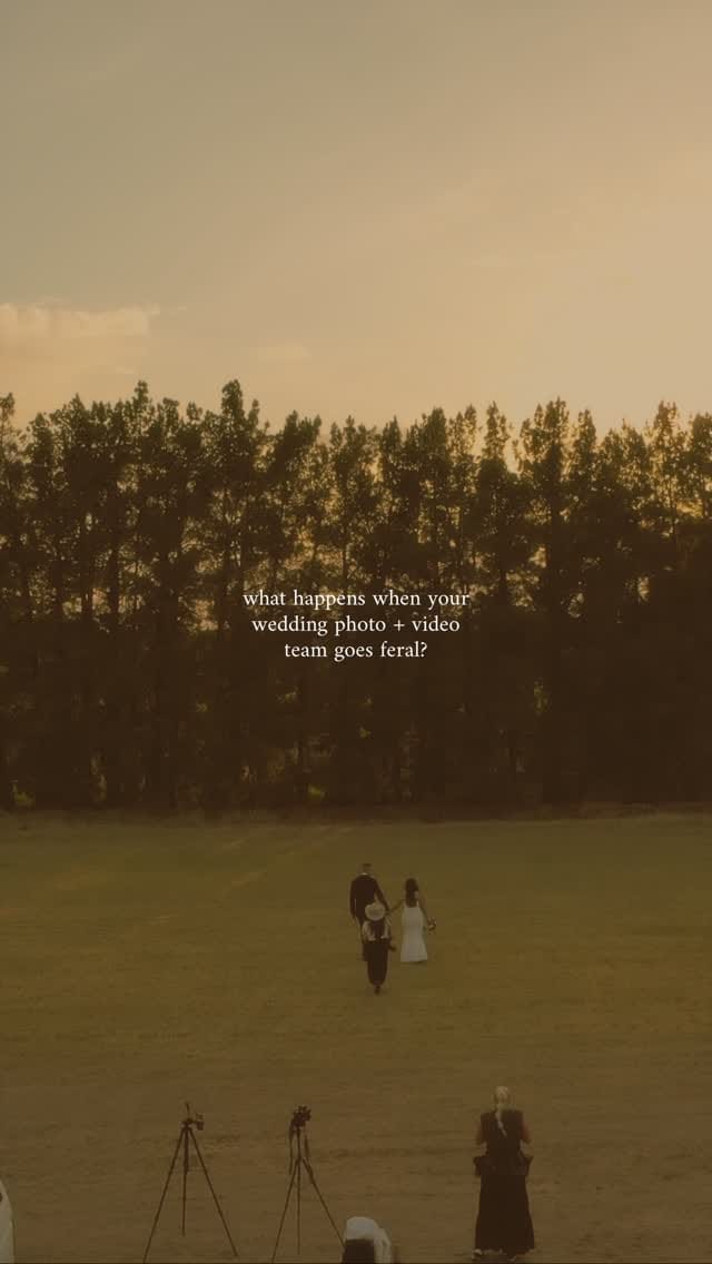 Post 7 by Weddings at Schnepf Farms | Arizona Wedding Venue on Instagram (video)