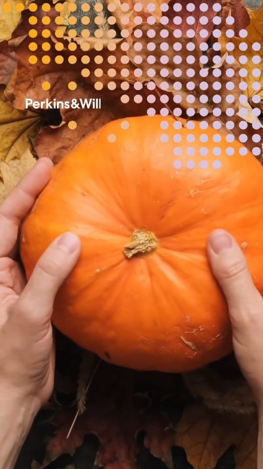 Post 5 by Perkins&Will Los Angeles on Instagram (video)