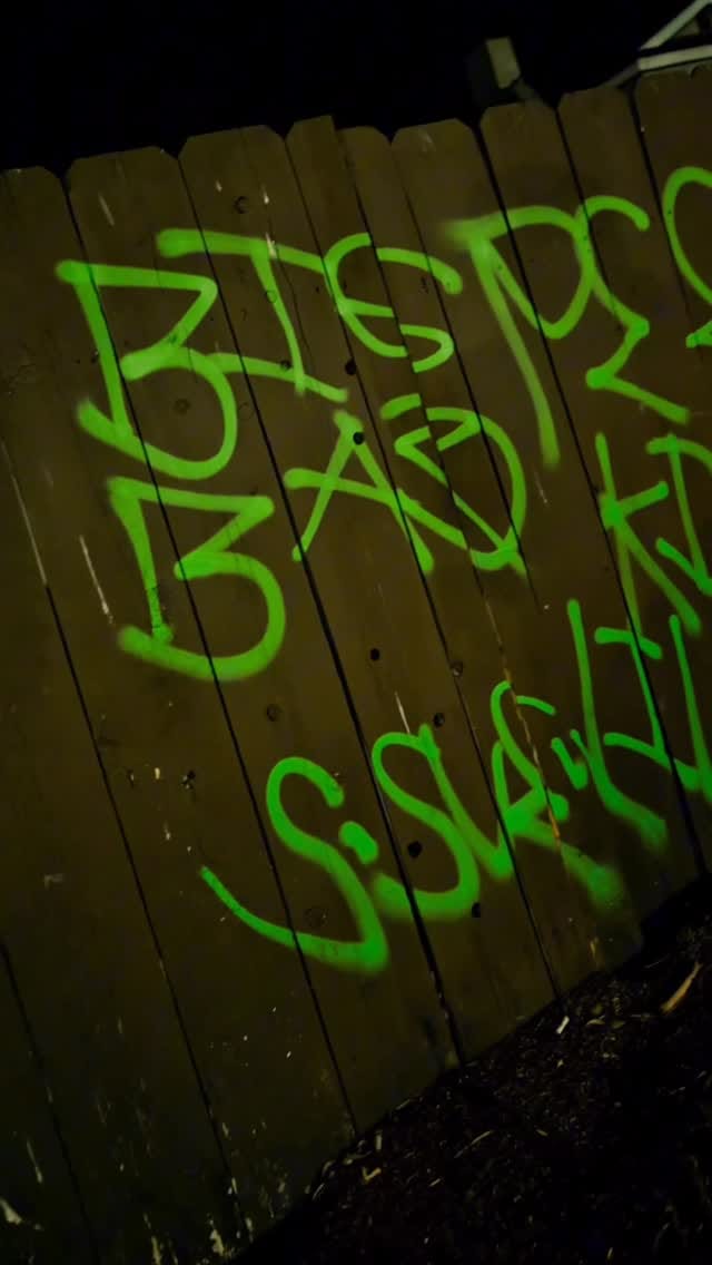 Post 4 by Lil Weirdo on Instagram (video)