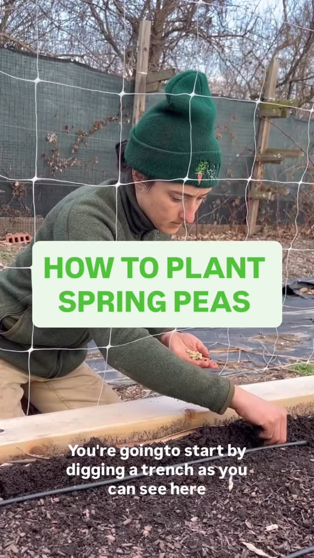 Post 8 by Love & Carrots on Instagram (video)