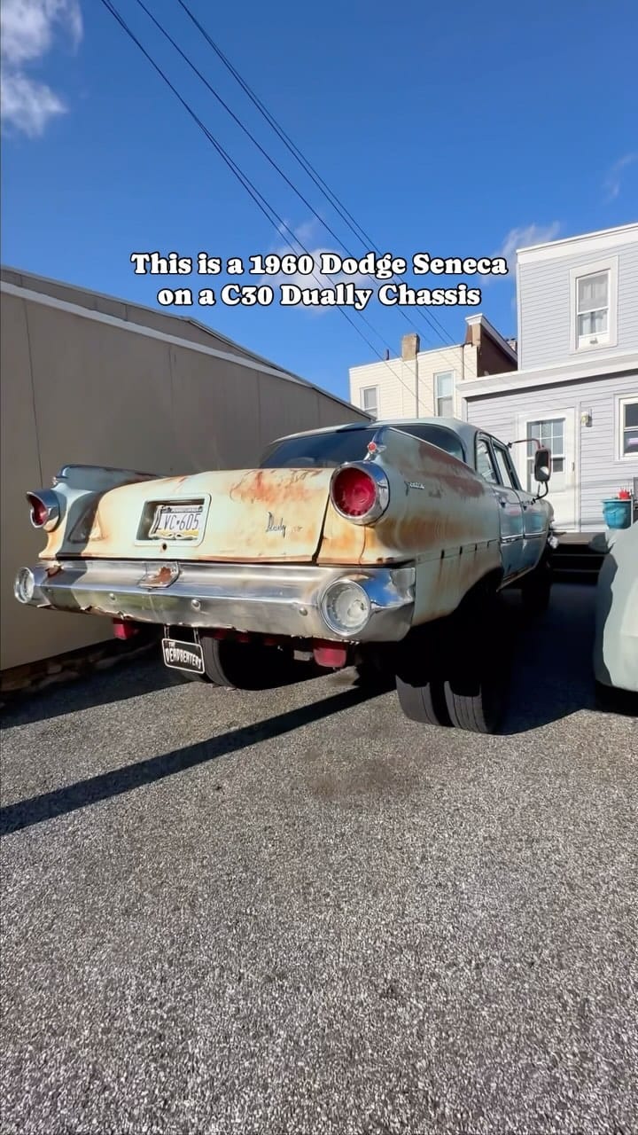 Post 9 by No Kill Car Shelter on Instagram (video)